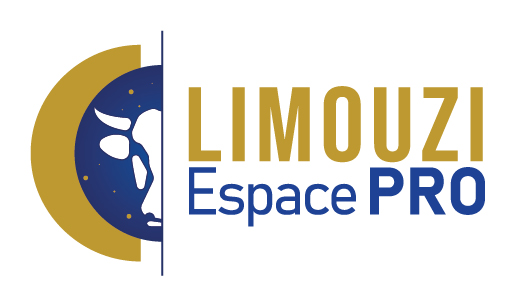 Logo Limouzi Espace Pro
